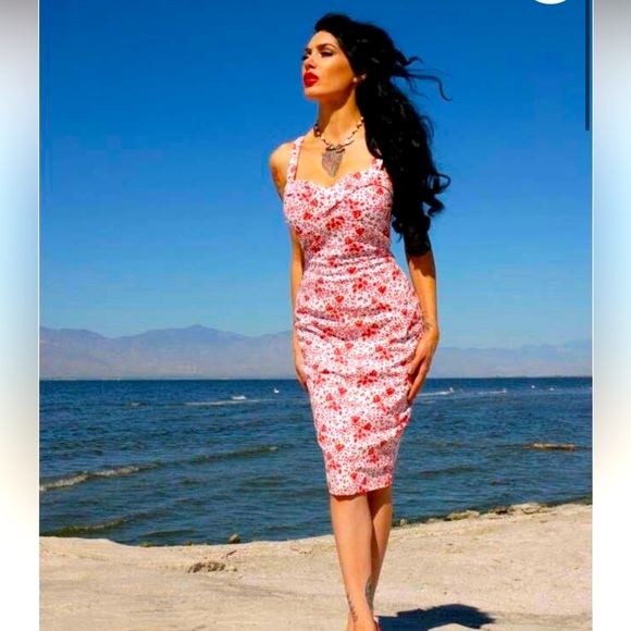 Dixie Fried Pinup Girl Wiggle Dress Roses 2X Retro Vintage Plus Comfy Party - Picture 1 of 4